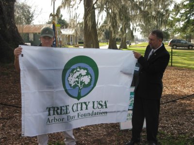 The official Tree City U.S.A. flag.